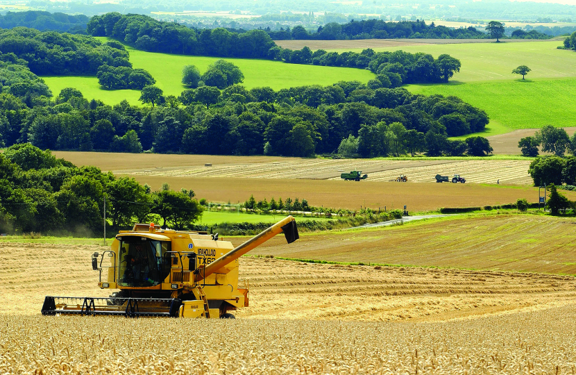 Farming Field